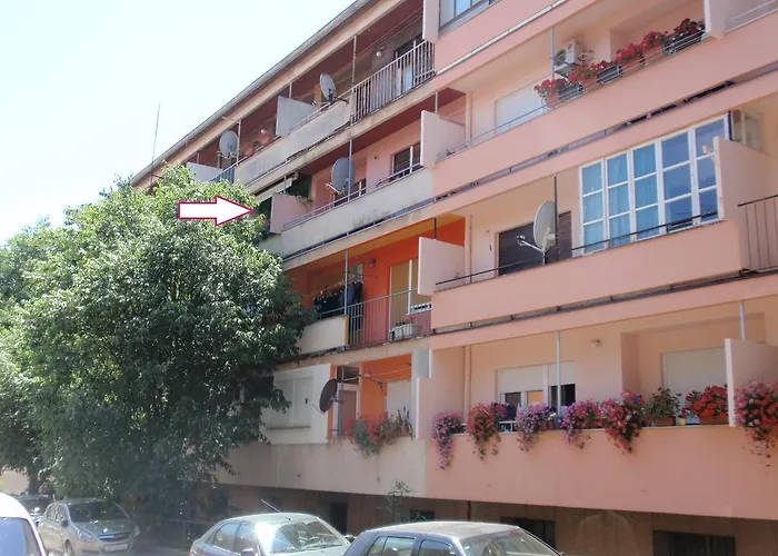 Bizjak